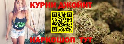гидра Новозыбков