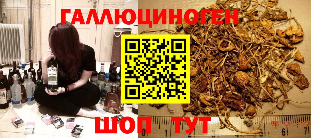 Псилоцибиновые грибы Psilocybe Серпухов