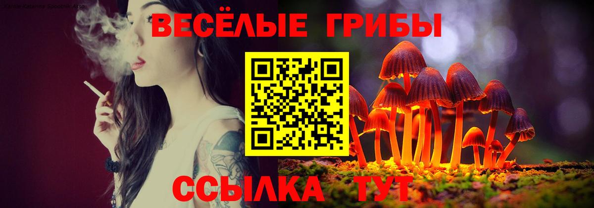 Галлюциногенные грибы Psilocybine cubensis  Галлюциногенные грибы мицелий  Вход с VPN  Серпухов 